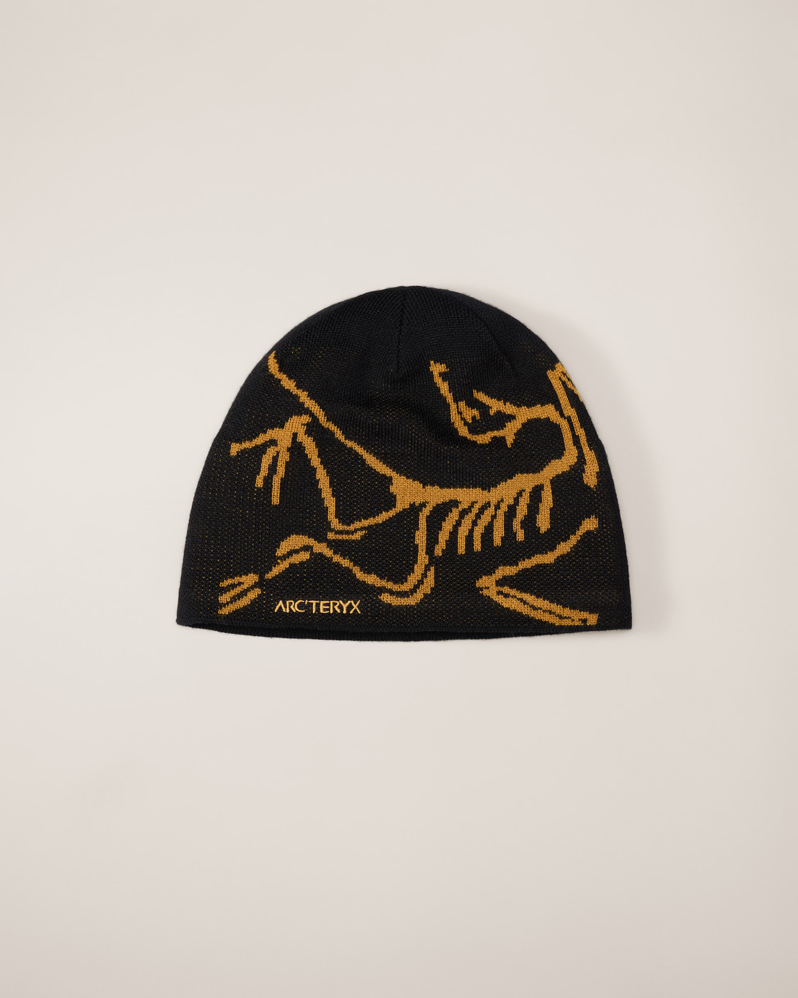 Beanie AR