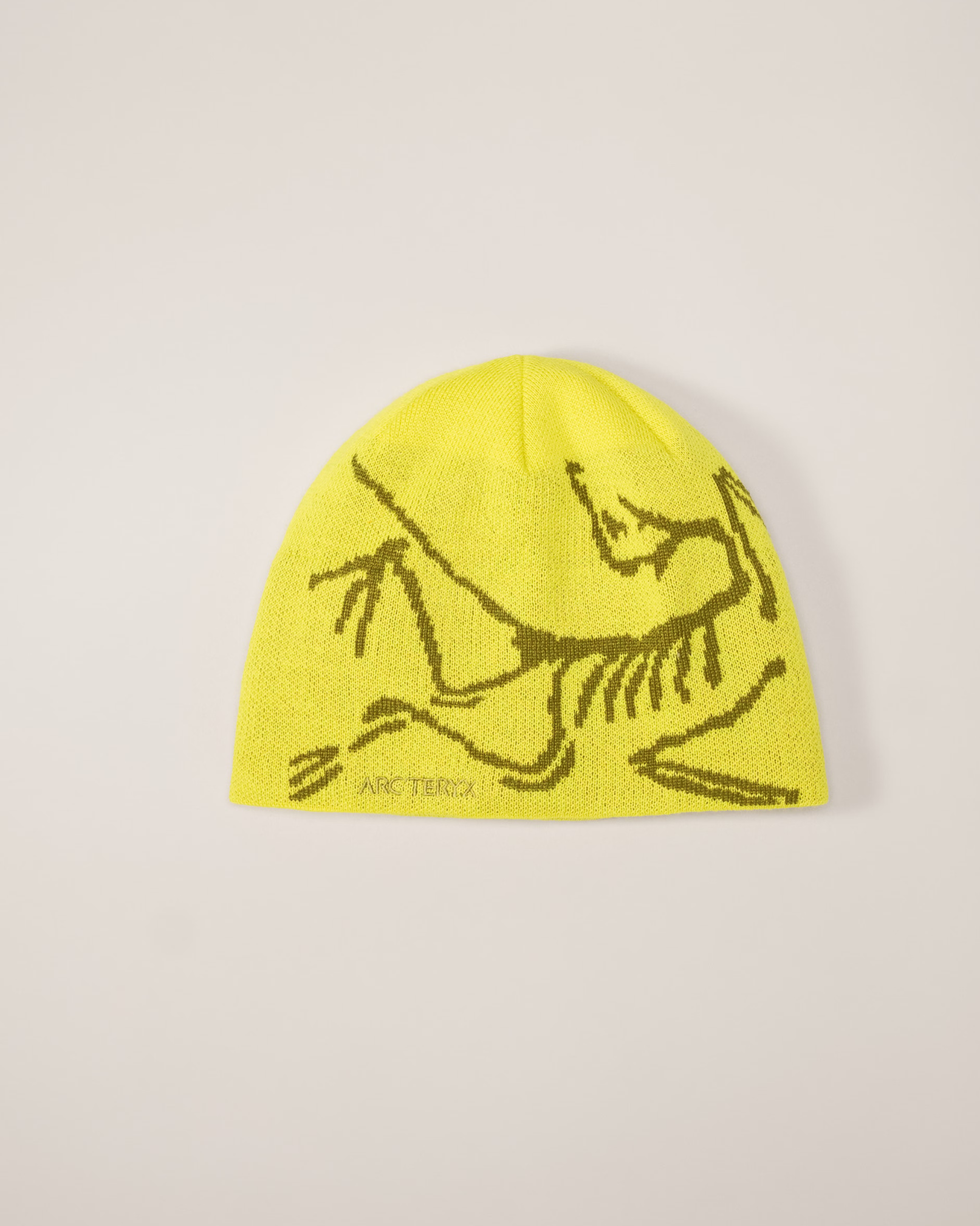 AR Beanie